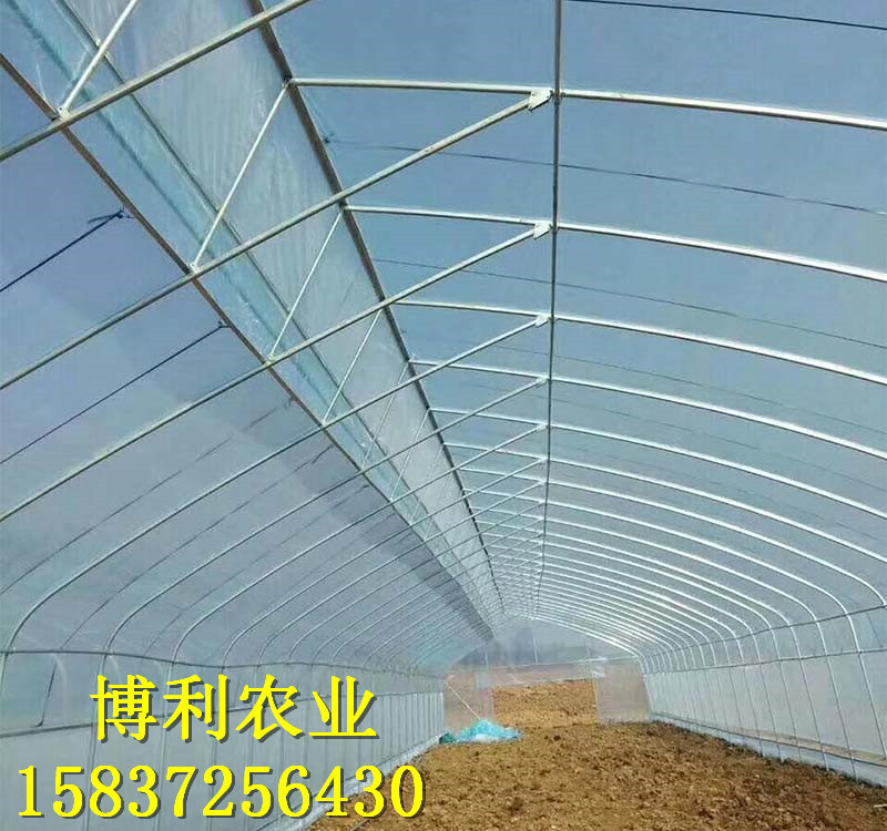 蔬菜冷棚1